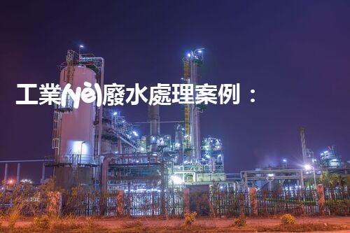 工業(yè)廢水處理案例：揭秘高效凈化背后的技術(shù)奇觀(guān)！
